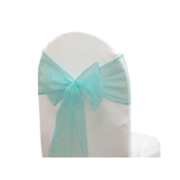 Noeud de chaise organza Turquoise - NSE Location  0,50€