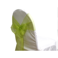 Noeud de chaise organza Vert anis - NSE Location 0.50€