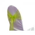 Noeud de chaise organza Vert pomme - NSE location  0,50€