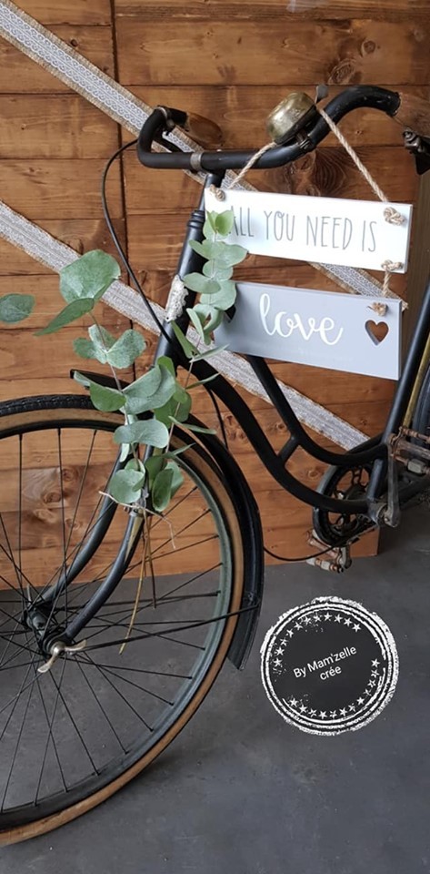 Location ancien vélo - 20.00€