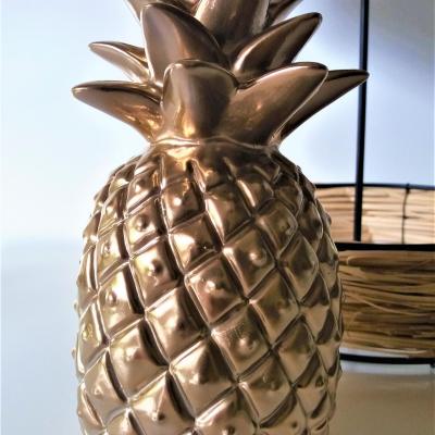 Location ananas deco tropical